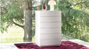 Plants: Promozione 10 0f 13 thumb