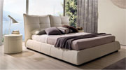 Plants: Promozione 3 0f 13 thumb