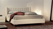 Plants: Promozione 6 0f 13 thumb